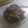 Cooksnap dari Ani 1989 untuk resep Oseng daging sapi cabe Ijo