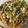 Cooksnap dari Yosephine Yolanda untuk resep Bihun Jagung Goreng