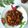 Cooksnap dari Cony Septiani untuk resep Sambal Goreng Kentang dan Udang