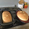 El cooksnap de marrenzulli cuando hizo Pan lactal con semillas.