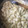 El cooksnap de malaba cuando hizo Fideos con leche y queso.