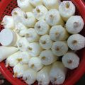 Cooksnap của Như Hình khi họ làm theo món Sữa chua bỏ bao