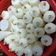 Cooksnap của Như Hình khi họ làm theo món Sữa chua bỏ bao