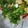 Cooksnap από Strata Al. στη συνταγή Σαλάτα μαρούλι και ρόκα 🥬