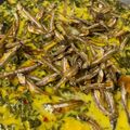 Cooksnap dari Ine Damayanti untuk resep Gulai Daun Singkong Teri
