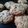 El cooksnap de Noemí cuando hizo Galletas integrales de avena o cereales.