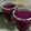 Richa Shahpatel's cooksnap of when they made જામુન શોટ્સ (Jamun Shots Recipe In Gujarati).