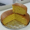 El cooksnap de Romina De Ruiz cuando hizo Budín de mandarinas en licuadora. Rico y fácil 🙌.