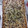 matthousley11's cooksnap of when they made Magic Cookie Bars.