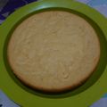 Cooksnap dari astri untuk resep Bolu Tape Panggang (2 Telur)