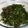 Cooksnap dari Rima Tan untuk resep Tumis Daun Melinjo/Tangkil (Isian tuk Nasi Bakar)