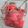 Cooksnap de Maggy Malibert sur la recette ☆Pickles de Radis Roses☆