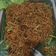 Cooksnap dari Permas Yully untuk resep Mie Goreng pelengkap Nasi Kuning