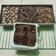 Cooksnap dari putri sari untuk resep Brownies panggang lembut