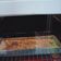 Cooksnap dari Musyafaah 88 untuk resep Potatoes Au Gratin