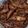 陳伽瑜 的 薑絲醬燒小卷 cooksnap
