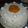 El cooksnap de Gustavo cuando hizo Torta o postre Chajá.