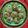 Saroj Shah's cooksnap of when they made દહીં પૂરી (Dahi Poori Recipe In Gujarati).