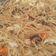 Cooksnap dari yulia handika untuk resep Bihun Goreng Jamur Kuping