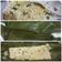 Cooksnap dari Ruffah Alamudy untuk resep Pepes Tahu