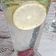 Cooksnap dari Layla untuk resep Lemon Mojito