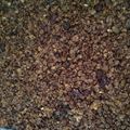 Cooksnap dari Shenny Indrawati untuk resep Homemade Granola Bar