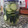 El cooksnap de Lavidaesmaravillosa. (Amparo) cuando hizo Pepino encurtido casero.