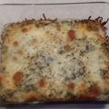 Gregory Sterner's cooksnap of when they made robinmay's hot spinach and artichoke dip.