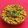 Sangita Vyas's cooksnap of when they made પંજાબી છોલે મસાલા (Punjabi Chole Masala Recipe In Gujarati).