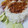 Aruna Thapar's cooksnap of when they made Simple Rajma Chaval.