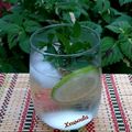 Cooksnap από 𝒳𝓇𝓊𝓈𝑜𝓊𝓁𝒶 𝒦𝑜𝓃𝓉𝑜𝓅𝑜𝓊𝓁𝑜𝓊 στη συνταγή Mojito cocktail 🩷🍃🩷