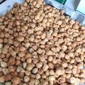 Cooksnap dari Shafira Octina Dewi Haryawan untuk resep Kacang Telur Rasa Bawang