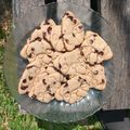 El cooksnap de Daniela Vdovsov cuando hizo Galletitas integrales con chips de chocolate.