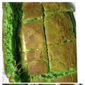 Cooksnap dari Tantemamaelgia untuk resep Martabak Hijau Oreo Cheese