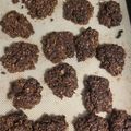 El cooksnap de Elizabeth Grudzien cuando hizo Galletitas de avena y harina integral 🍪.