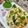 Kanchan Kamlesh Harwani's cooksnap of when they made Khamman dhokla.