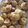 Cooksnap de jurabedel sur la recette Choux à la crème chantilly et fraises