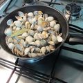 El cooksnap de Tito cuando hizo Almejas a la marinera con vino Tío Pepe.