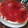 El cooksnap de Micaela Perez cuando hizo Cheesecake sin horno.