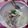 Cooksnap dari Nurmadella Karobiyyun Widodo untuk resep Dak Gomtang (닭곰탕), Korean Chicken Soup