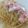 El cooksnap de Irene-Guirao cuando hizo Pasta con salmón ahumado (puede ser sin gluten).