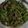 Cooksnap dari Anes Tasya untuk resep Buncis Cah Daging Sapi Cincang