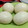 Cooksnap dari Renta Renata untuk resep Bakpao Kukus Lembut