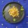 Avani Suba's cooksnap of when they made ફ્રેન્ચ ફ્રાઈસ (French Fries Recipe In Gujarati).