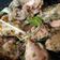 Cooksnap dari ari untuk resep Ayam lombok ijo kemangi