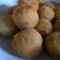 Cooksnap dari nofi untuk resep Bitterballen