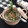 Cooksnap dari Pratiwi Pramuharsih untuk resep Bubur Kacang Ijo