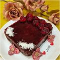 کوک اسنپ ❤️ گلايل ❤️ بعد از امتحان کردن کیک یخچالی شکلاتی ژله ای (میوه ای).