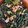 Cooksnap dari Mariana Ari untuk resep Tumis Kangkung Ebi