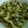 El cooksnap de MaryGlory cuando hizo Salteado de brócoli y gulas.